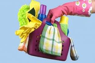 Service aide menagere