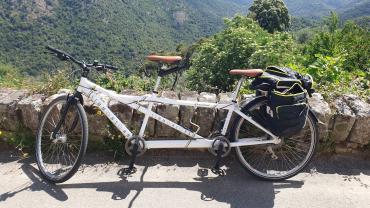 Location velos