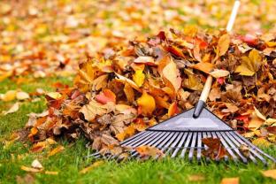 Service entretien jardin
