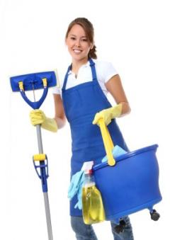 Service aide menagere