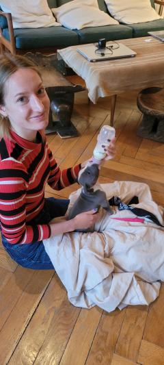 Service garde animaux