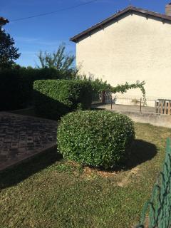 Service entretien espace vert