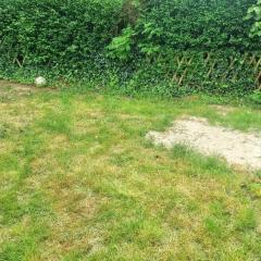 Service amenagement jardin