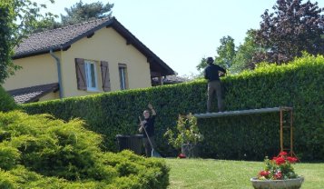 Service taille de haies