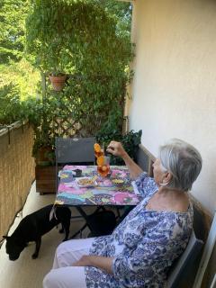Service promeneur chien