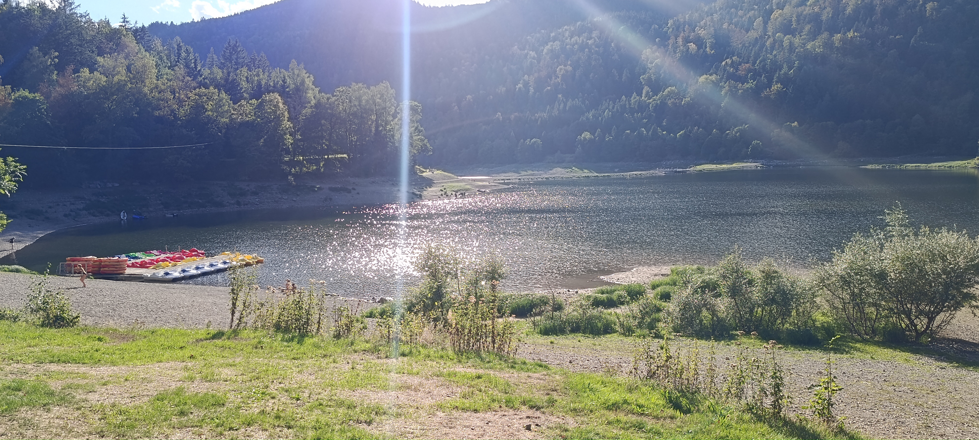 Service garde animaux entre particuliers (46)