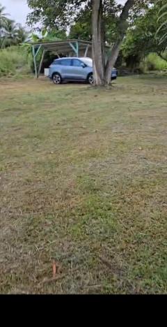 Location jardin