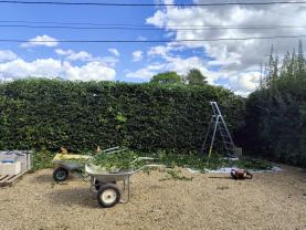 Service entretien jardin