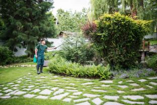 Service amenagement jardin