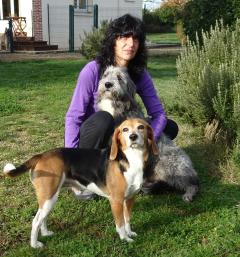Service garde animaux