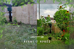 Service entretien jardin