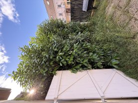 Service entretien jardin
