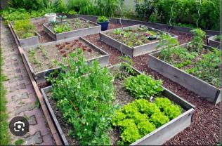 Location jardin potager