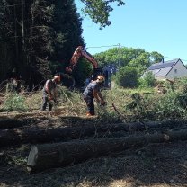 Service entretien jardin
