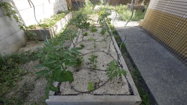 Location jardin potager
