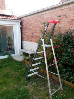 Location escabeau