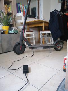 Location trottinette