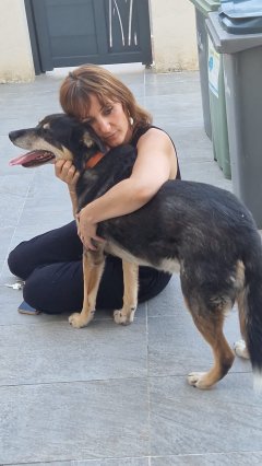 Service garde animaux