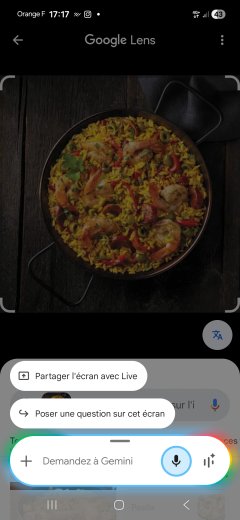 Location plat a paella