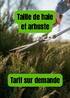 Service taille de haies