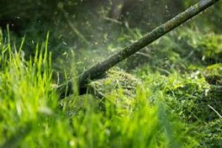 Service entretien jardin