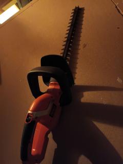 Location taille haie