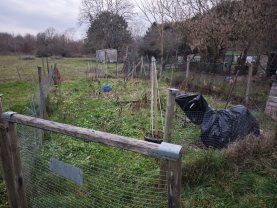 Location jardin potager