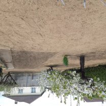 Location rouleau a gazon