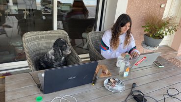 Service garde animaux