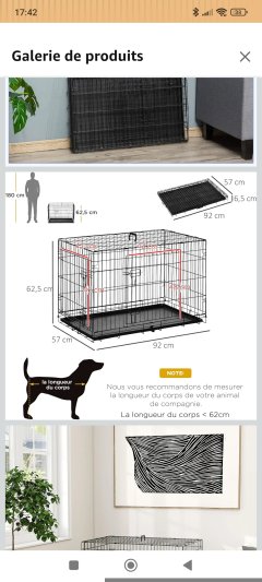 Location cage transport animaux