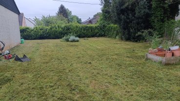 Service entretien jardin