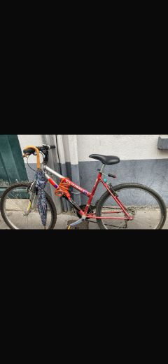 Location velos