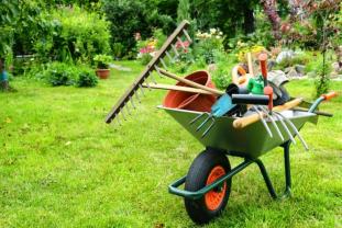 Service entretien jardin