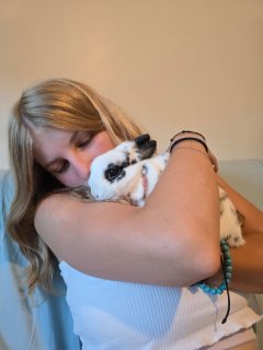 Service garde animaux