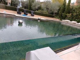 Service entretien jardin