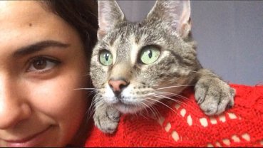 Service garde animaux