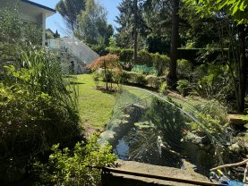 Service entretien espace vert