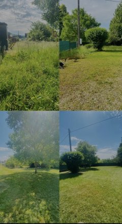 Service entretien jardin