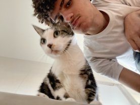 Service garde animaux