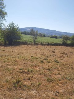Location jardin