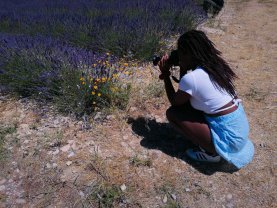 Location autre