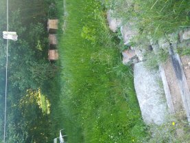 Service tonte de pelouse