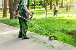 Service entretien espace vert