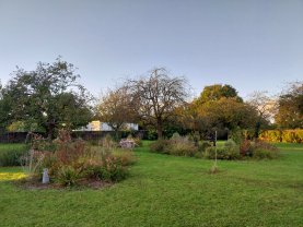 Service entretien jardin
