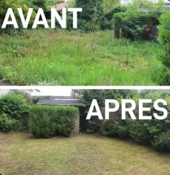 Service entretien jardin