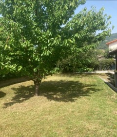 Service entretien jardin