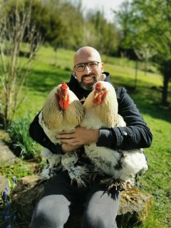 Service garde animaux