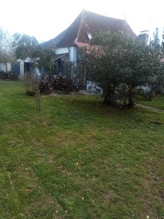 Service entretien jardin