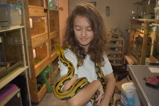 Service reptile