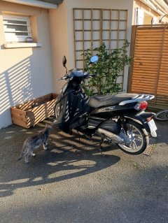 Location scooter